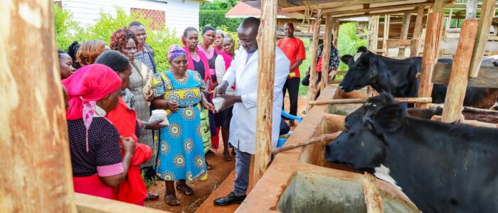 Livestock Farmers training 4