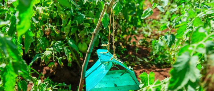 IMG-20260218-WA0035 (1)